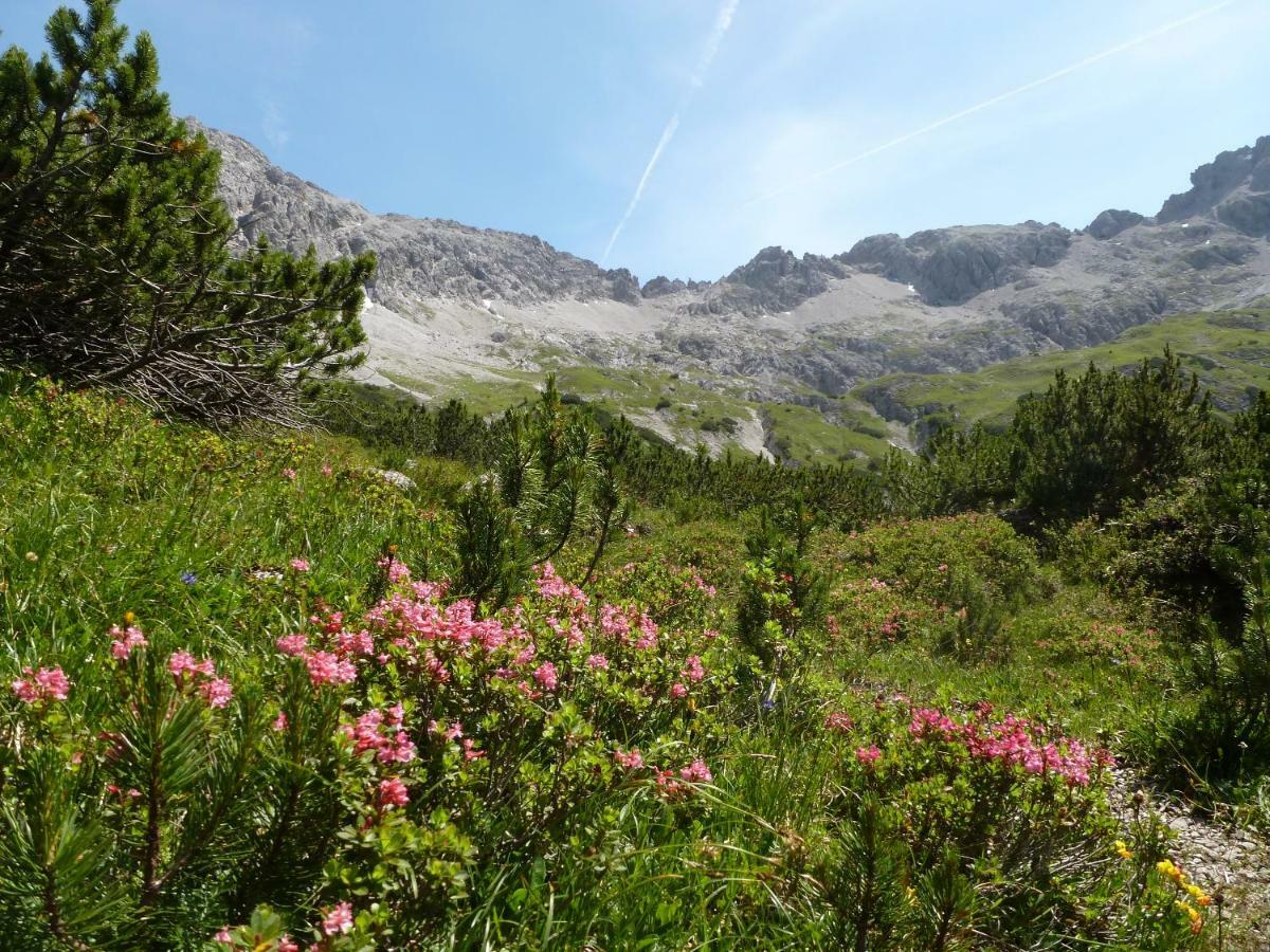 Auszeit Im Allgaeu Sonthofen Luaran gambar